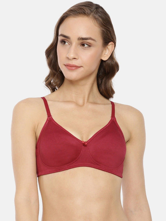 Women Everyday Bra