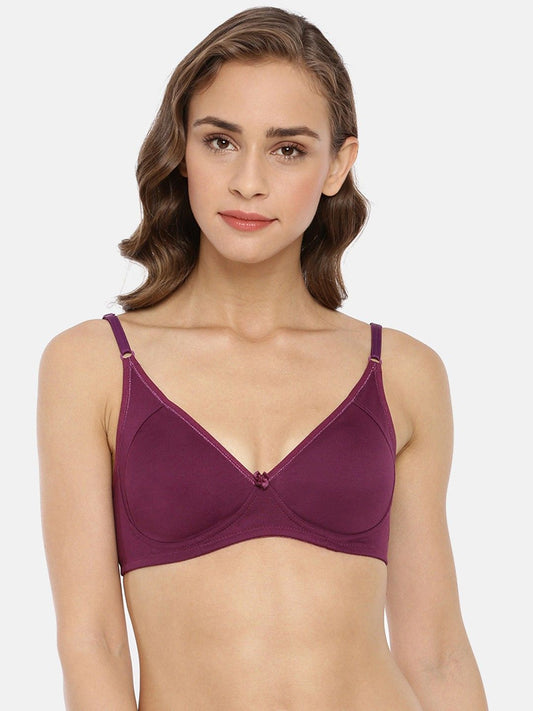 Women Everyday Bra