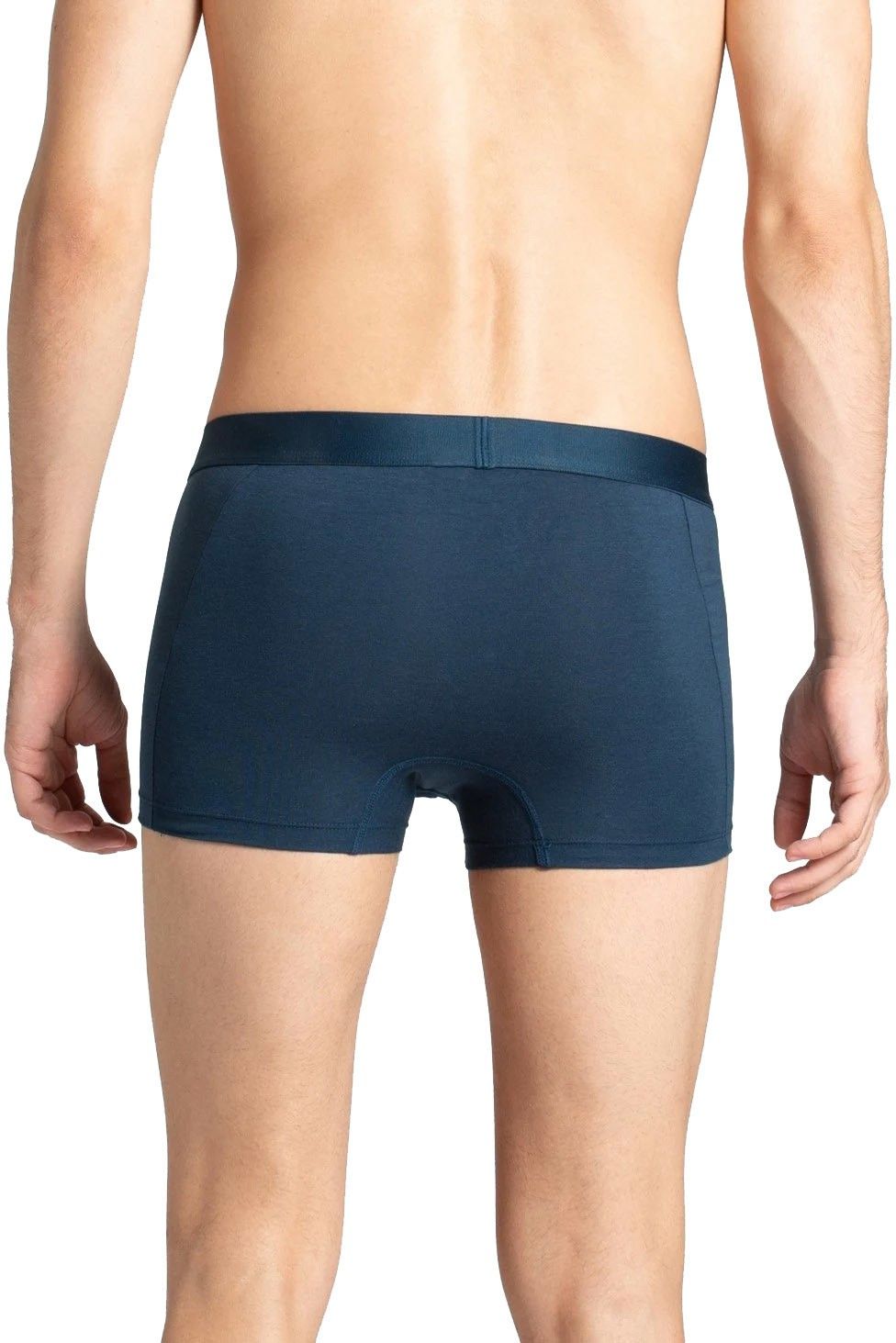 Mens Trunk