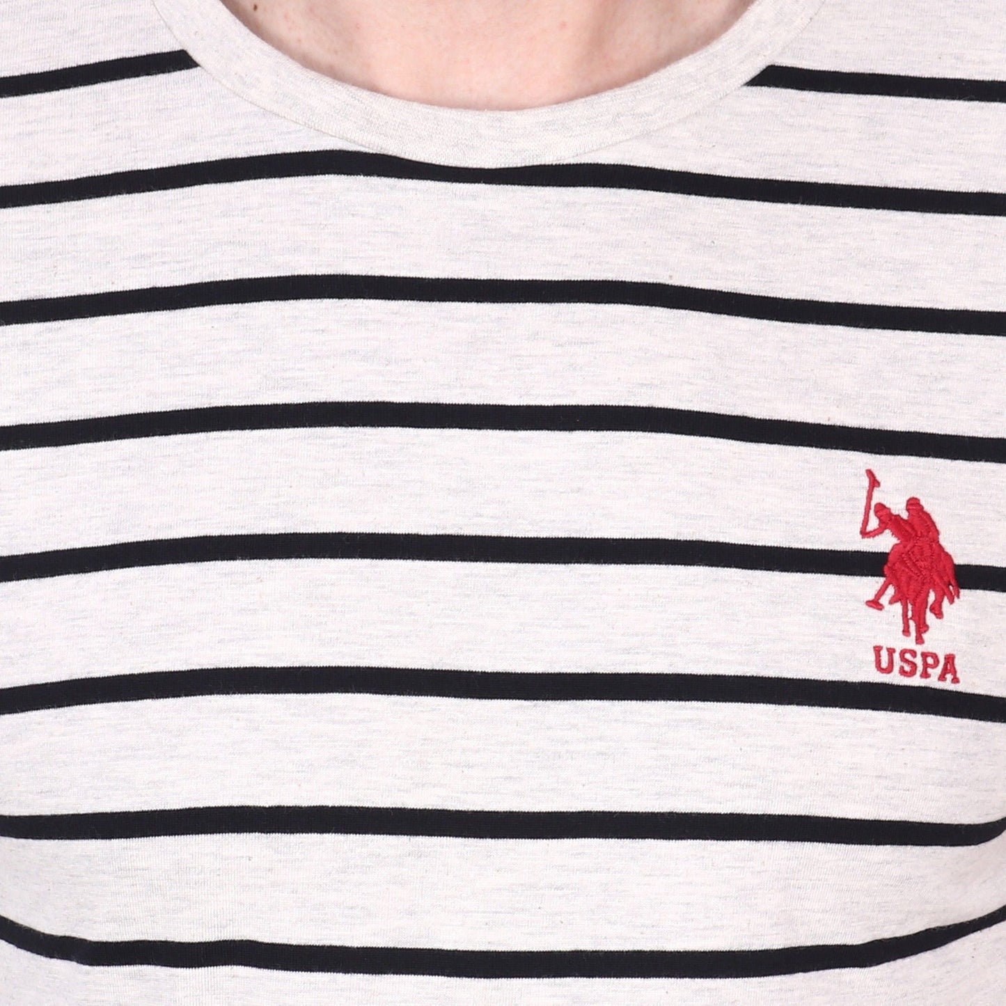 Mens T-shirt