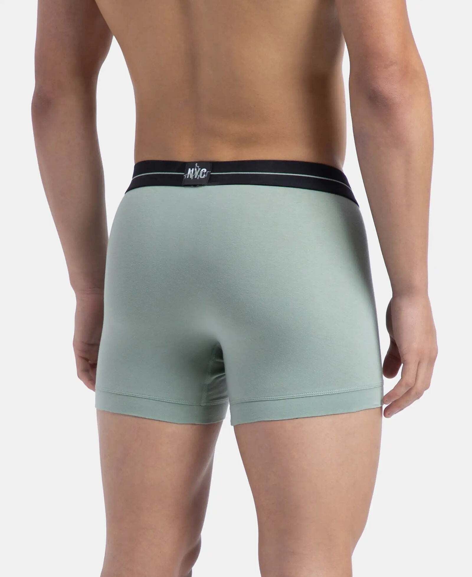 Mens Trunk