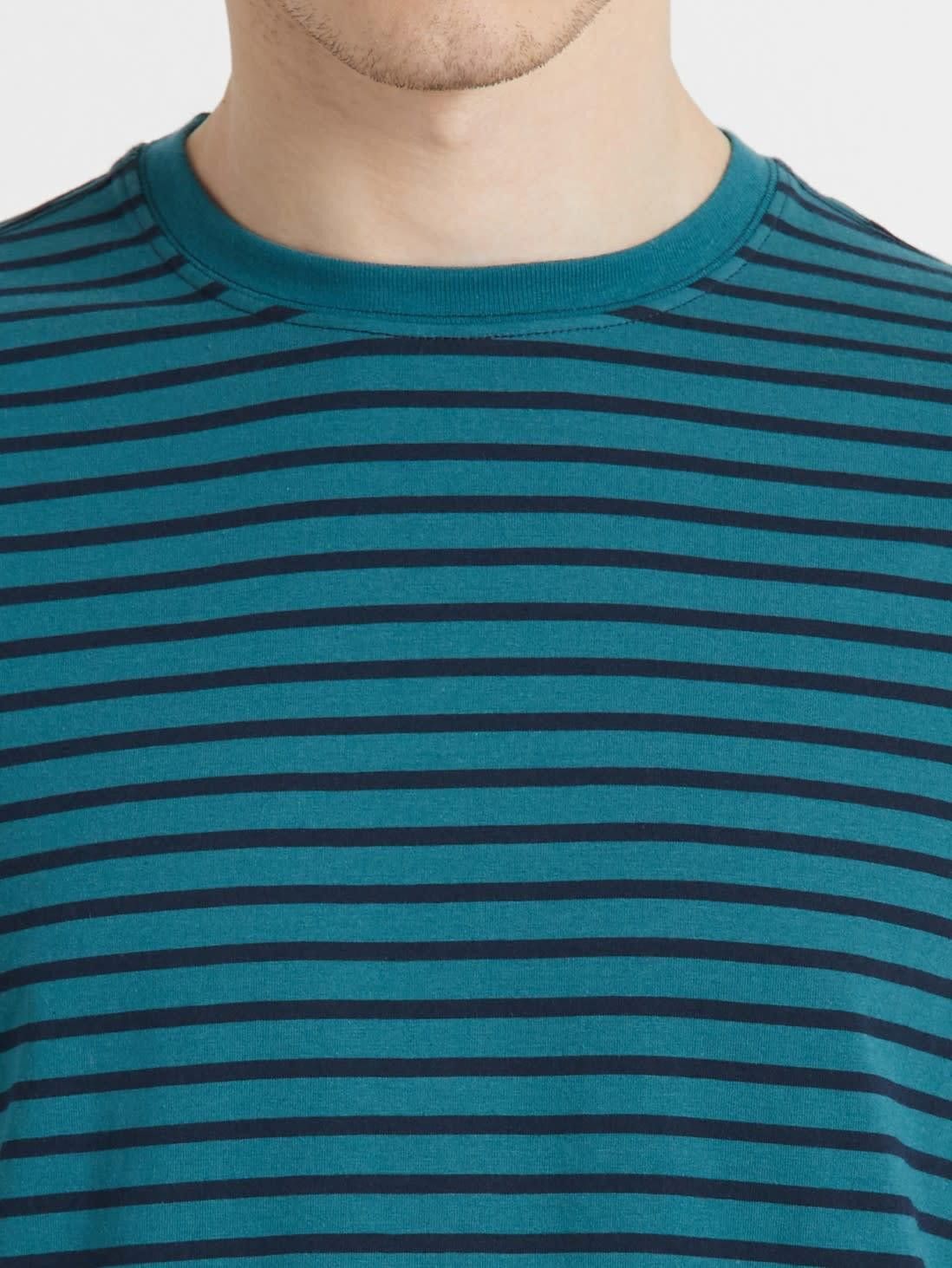 A Plain Tshirt