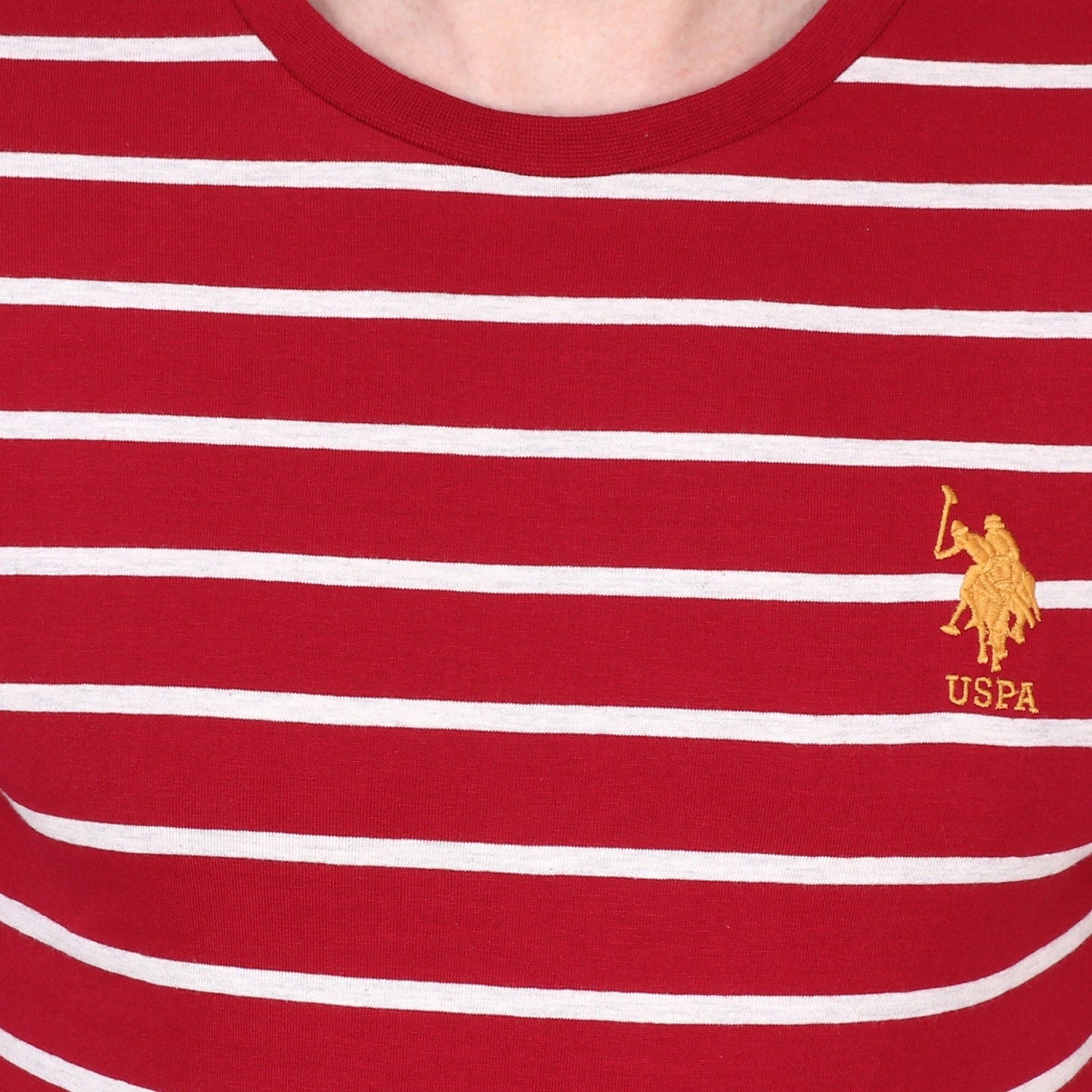 Mens T-shirt