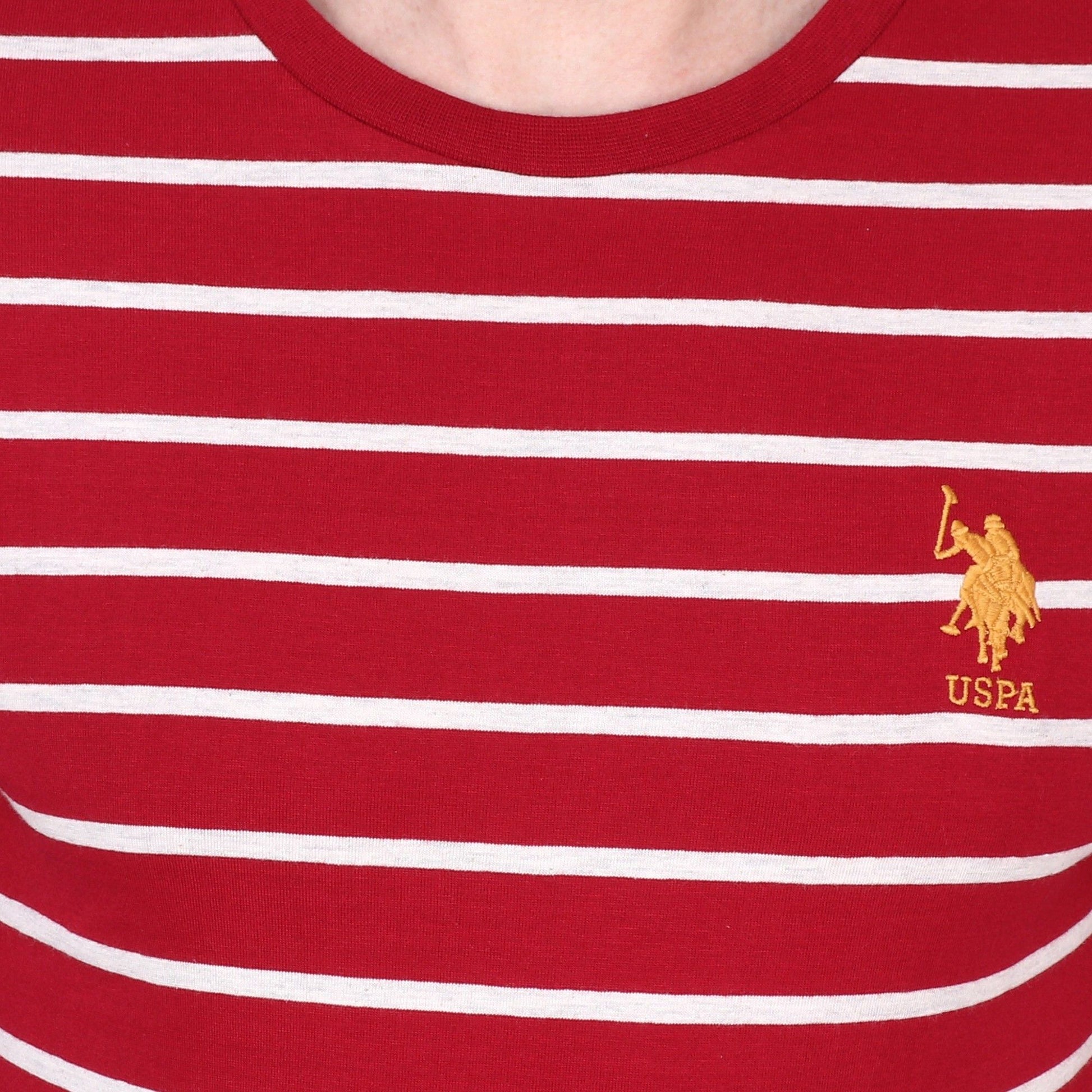 Mens T-shirt